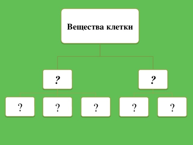 Вещества клетки ? ? ? ? ? ? ? 