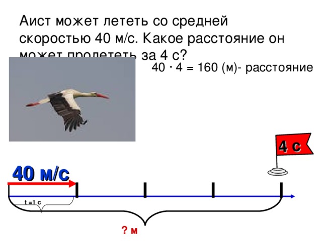 4 с Аист может лететь со средней скоростью 40 м/с. Какое расстояние он может пролететь за 4 с? 40 ∙ 4 = 160 (м)- расстояние 40 м/с t =1 с ? м 