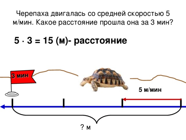 3 мин Черепаха двигалась со средней скоростью 5 м/мин. Какое расстояние прошла она за 3 мин? 5 ∙ 3 = 15 (м)- расстояние 5 м/мин ? м 