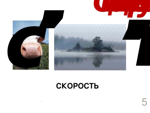 СКОРОСТЬ . 