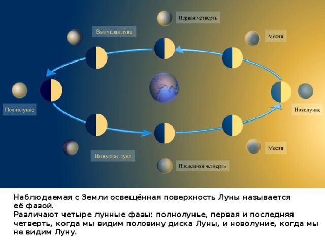 Наблюдаемая с Земли освещённая поверхность Луны называется её фазой. Различают четыре лунные фазы: полнолунье, первая и последняя четверть, когда мы видим половину диска Луны, и новолуние, когда мы не видим Луну. 