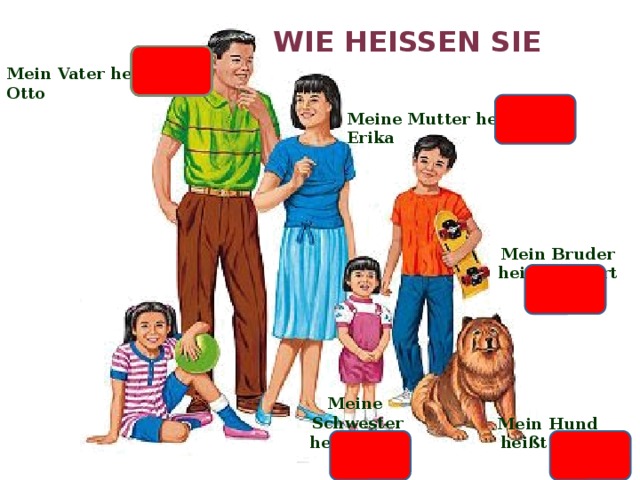 Wie heißen sie? Mein Vater heißt Otto Meine Mutter heißt Erika Mein Bruder heißt Robert Meine Schwester heißt Susi Mein Hund heißt Bim 12 