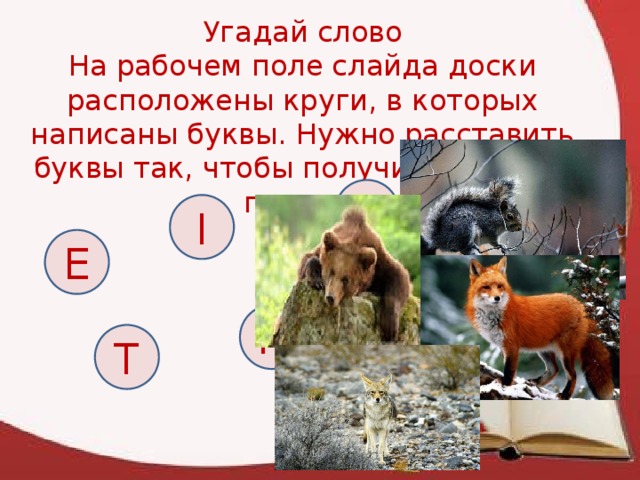 Угадай слово На рабочем поле слайда доски расположены круги, в которых написаны буквы. Нужно расставить буквы так, чтобы получилось слово по теме E I E R T 12 