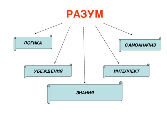 РАЗУМ ЛОГИКА САМОАНАЛИЗ ИНТЕЛЛЕКТ УБЕЖДЕНИЯ ЗНАНИЯ 