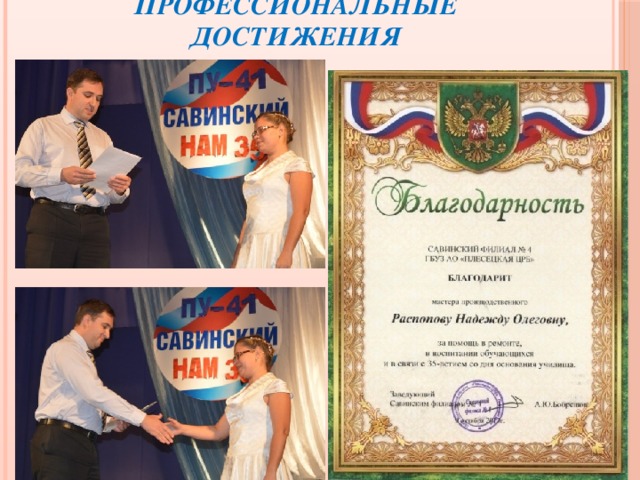 Профессиональные достижения 