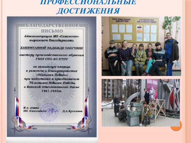 Профессиональные достижения 