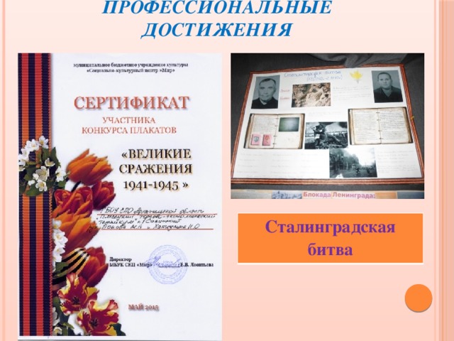 Профессиональные достижения Сталинградская битва 
