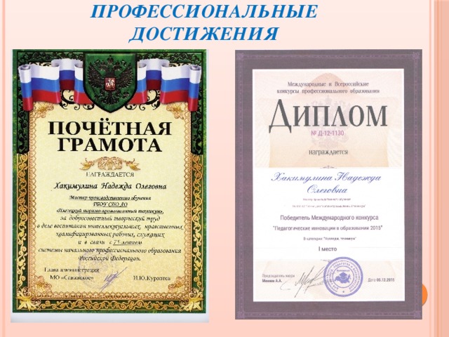 Профессиональные достижения 