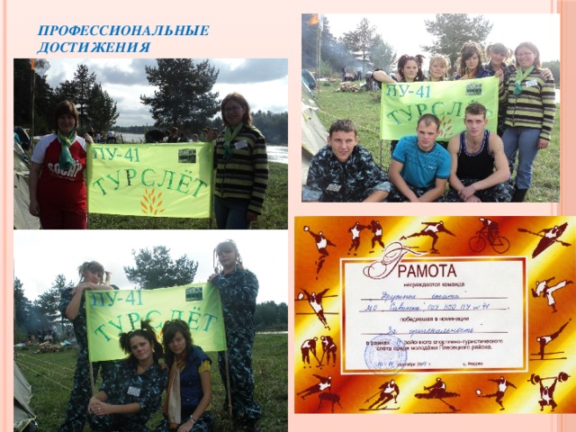 Профессиональные достижения 