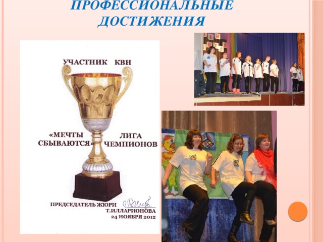 Профессиональные достижения 