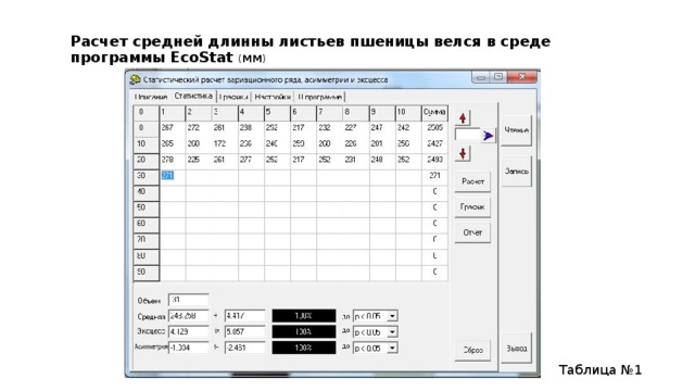 Расчет средней длинны листьев пшеницы велся в среде программы EcoStat ( ММ ) Таблица №1 