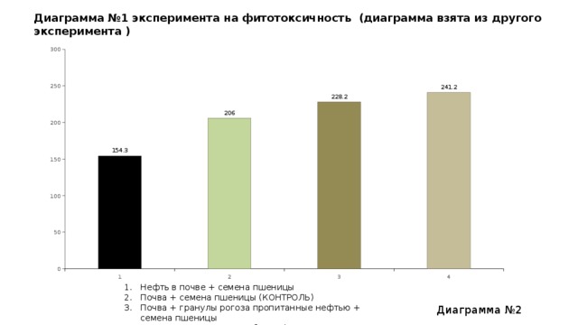 Диаграмма №1 эксперимента на фитотоксичность (диаграмма взята из другого эксперимента )   Нефть в почве + семена пшеницы Почва + семена пшеницы (КОНТРОЛЬ) Почва + гранулы рогоза пропитанные нефтью + семена пшеницы Почва + гранулы рогоза без нефти + семена пшеницы Диаграмма №2 