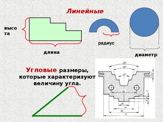 Линейные высота радиус длина диаметр Угловые размеры, которые характеризуют величину угла. 