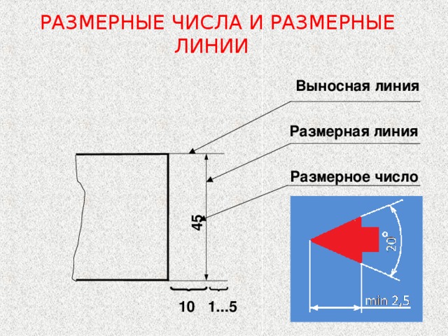 1...5 45  РАЗМЕРНЫЕ ЧИСЛА И РАЗМЕРНЫЕ ЛИНИИ Выносная линия Размерная линия  Размерное число 10  