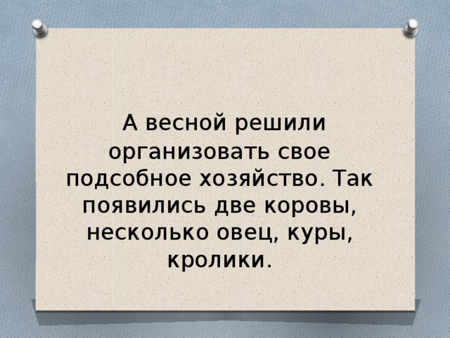  А весной решили организовать свое подсобное хозяйство. Так появились две коровы, несколько овец, куры, кролики. 