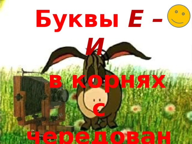 Буквы Е – И  в корнях с чередованием 