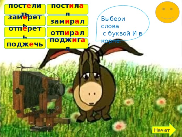 пост и л а л пост е лить Выбери слова  с буквой И в корне. зам е реть зам и р а л отп е реть отп и р а л подж е чь подж и г а л 