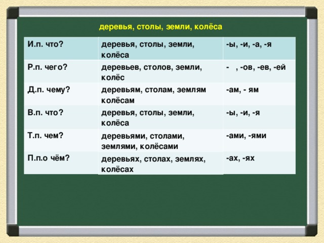 деревья, столы, земли, колёса -ы, -и, -а, -я  И.п. что?  деревья, столы, земли, колёса деревьев, столов, земли, колёс Р.п. чего?  - , -ов, -ев, -ей  -ам, - ям  деревьям, столам, землям колёсам Д.п. чему?  деревья, столы, земли, колёса В.п. что?  -ы, -и, -я  деревьями, столами, землями, колёсами Т.п. чем?  -ами, -ями  П.п.о чём?  деревьях, столах, землях, колёсах -ах, -ях