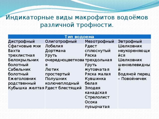 Дипломная работа по теме Видовой состав водной и околоводной растительности Кетовского района Курганской области Дипломная работа по теме Видовой состав водной и околоводной растительности Кетовского района Курганской области