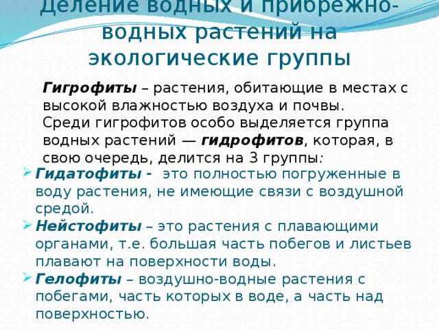 Дипломная работа по теме Видовой состав водной и околоводной растительности Кетовского района Курганской области Дипломная работа по теме Видовой состав водной и околоводной растительности Кетовского района Курганской области