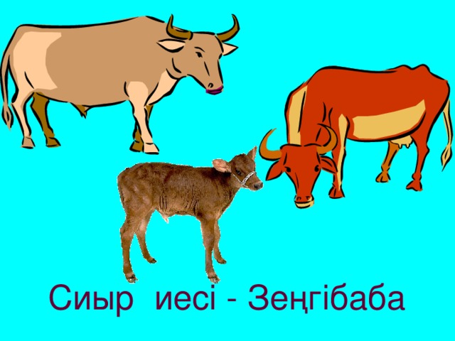 Сиыр иесі - Зеңгібаба  