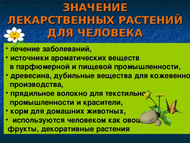 Лекарственные растения проект