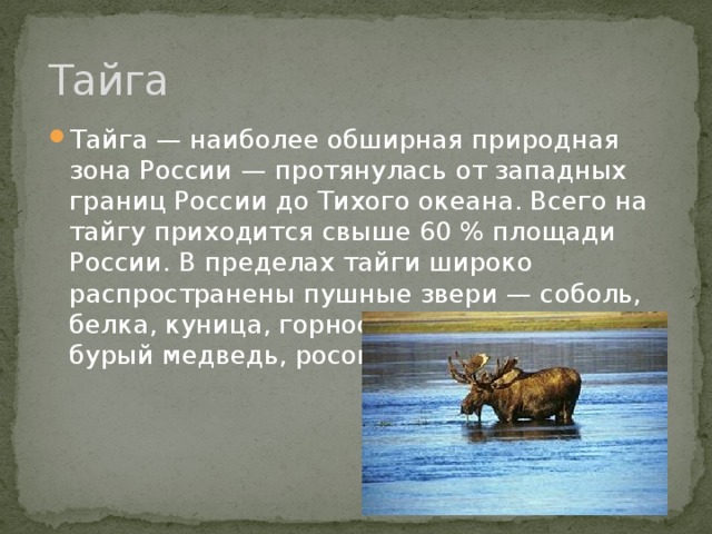 Тайга Тайга — наиболее обширная природная зона России — протянулась от западных границ России до Тихого океана. Всего на тайгу приходится свыше 60 % площади России. В пределах тайги широко распространены пушные звери — соболь, белка, куница, горностай; обитают лось, бурый медведь, росомаха, волк, ондатра. 