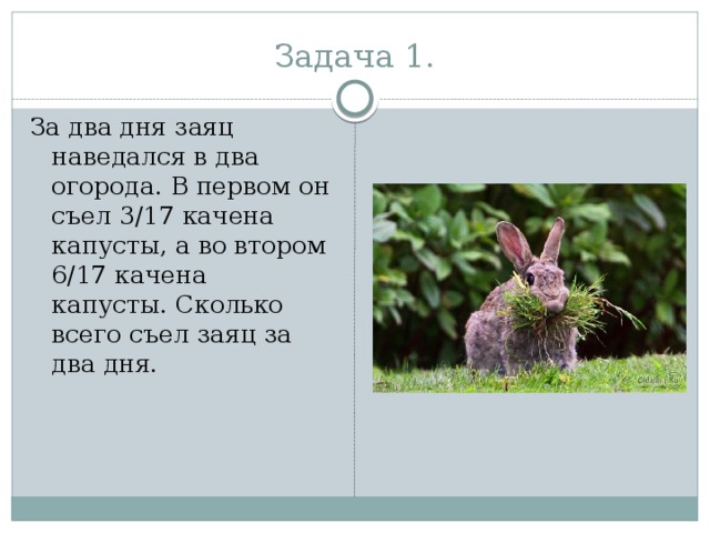 Задача 1. За два дня заяц наведался в два огорода. В первом он съел 3/17 качена капусты, а во втором 6/17 качена капусты. Сколько всего съел заяц за два дня.