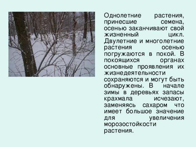 Какая наука изучает сезонные явления в жизни: найдено 84 картинок
