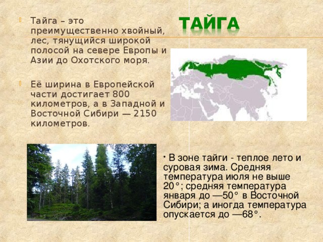 В зоне тайги - теплое лето и суровая зима. Средняя температура июля не выше 20°; средняя температура января до —50° в Восточной Сибири; а иногда температура опускается до —68°. Тайга – это преимущественно хвойный, лес, тянущийся широкой полосой на севере Европы и Азии до Охотского моря.  Её ширина в Европейской части достигает 800 километров, а в Западной и Восточной Сибири — 2150 километров.