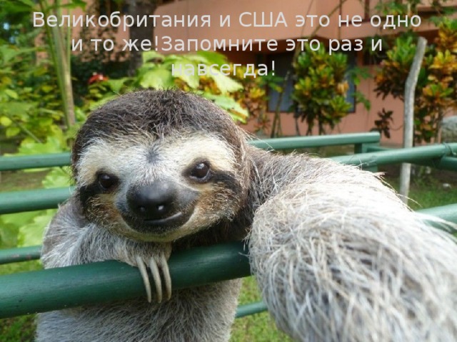 Великобритания и США это не одно и то же!Запомните это раз и навсегда! 