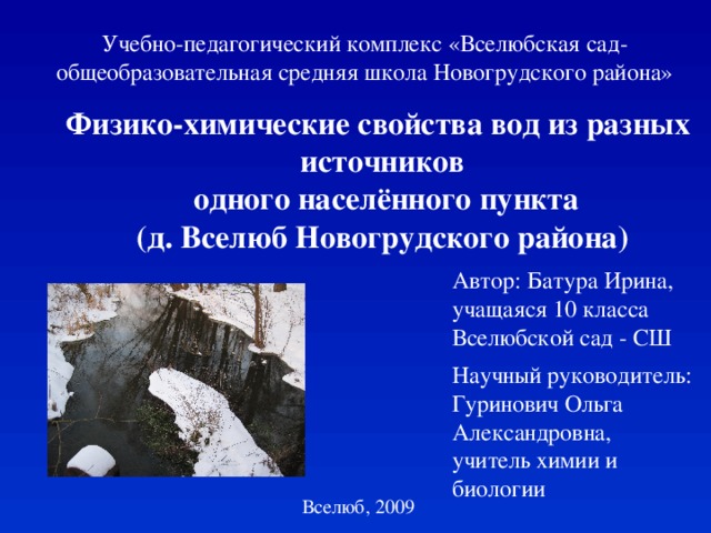 Учебно-педагогический комплекс «Вселюбская сад- общеобразовательная средняя школа Новогрудского района» Физико-химические свойства вод из разных источников  одного населённого пункта (д. Вселюб Новогрудского района) Автор: Батура Ирина, учащаяся 10 класса Вселюбской сад - СШ Научный руководитель: Гуринович Ольга Александровна, учитель химии и биологии Вселюб, 2009 