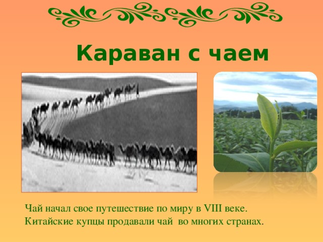 Караван с чаем Чай начал свое путешествие по миру в VIII веке. Китайские купцы продавали чай во многих странах . 