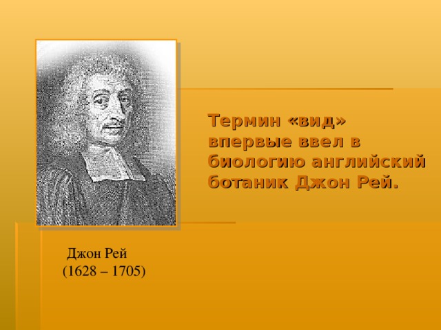 Термин «вид» впервые ввел в биологию английский ботаник Джон Рей. Джон Рей (1628 – 1705) 