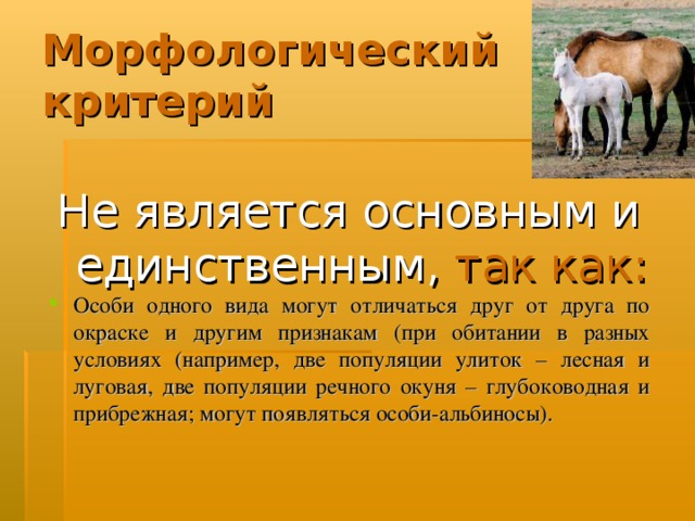 Морфологический критерий Не является основным и единственным,  так как: Особи одного вида могут отличаться друг от друга по окраске и другим признакам (при обитании в разных условиях (например, две популяции улиток – лесная и луговая, две популяции речного окуня – глубоководная и прибрежная; могут появляться особи-альбиносы). 