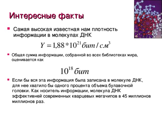 Интересные факты Самая высокая известная нам плотность информации в молекулах ДНК Общая сумма информации, собранной во всех библиотеках мира, оценивается как Если бы вся эта информация была записана в молекуле ДНК, для нее хватило бы одного процента объема булавочной головки. Как носитель информации, молекула ДНК эффективней современных кварцевых мегачипов в 45 миллионов миллионов раз.   