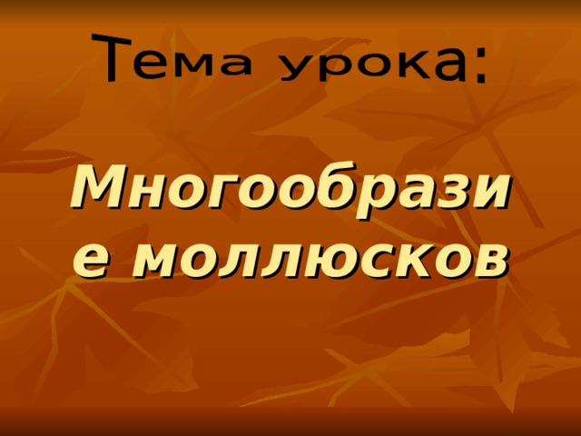 Многообразие моллюсков