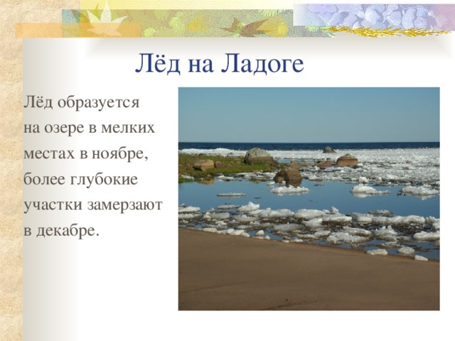  Лёд на Ладоге Лёд образуется на озере в мелких местах в ноябре, более глубокие участки замерзают в декабре. 