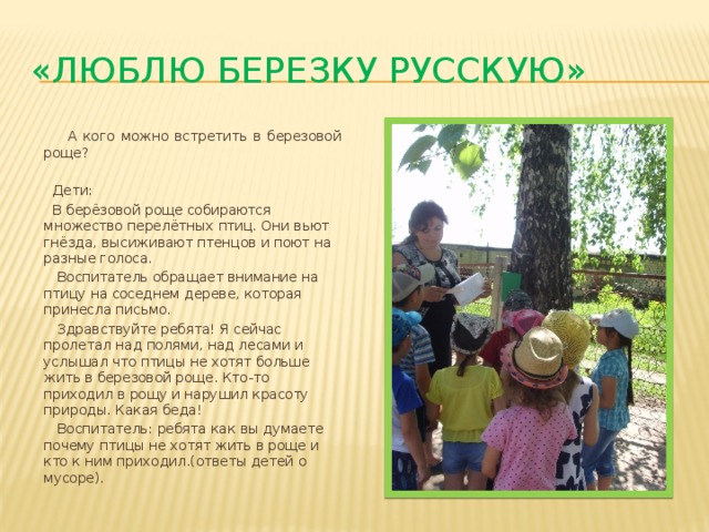 «Люблю березку русскую»  А кого можно встретить в березовой роще?  Дети:  В берёзовой роще собираются множество перелётных птиц. Они вьют гнёзда, высиживают птенцов и поют на разные голоса.  Воспитатель обращает внимание на птицу на соседнем дереве, которая принесла письмо.  Здравствуйте ребята! Я сейчас пролетал над полями, над лесами и услышал что птицы не хотят больше жить в березовой роще. Кто-то приходил в рощу и нарушил красоту природы. Какая беда!  Воспитатель: ребята как вы думаете почему птицы не хотят жить в роще и кто к ним приходил.(ответы детей о мусоре). 