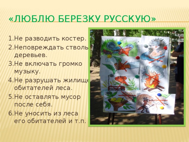 «Люблю березку русскую» 1.Не разводить костер. 2.Неповреждать стволы деревьев. 3.Не включать громко музыку. 4.Не разрушать жилище обитателей леса. 5.Не оставлять мусор после себя. 6.Не уносить из леса его обитателей и т.п. 