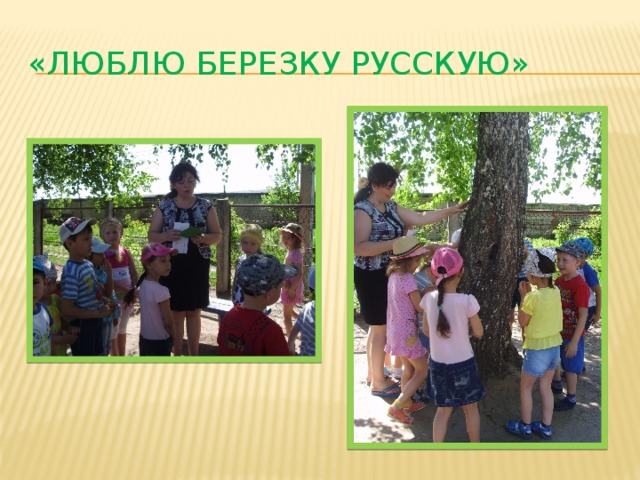 «Люблю березку русскую» 