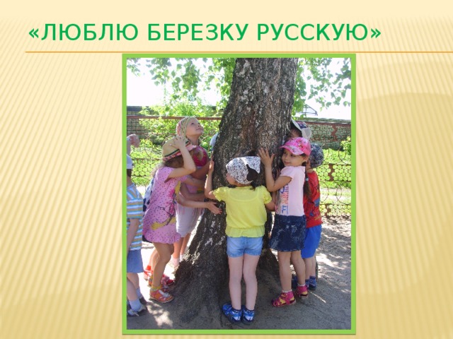 «Люблю березку русскую» 
