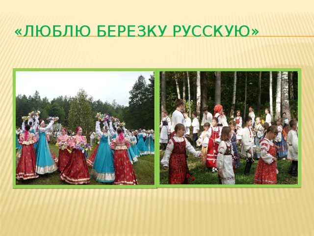 «Люблю березку русскую» 