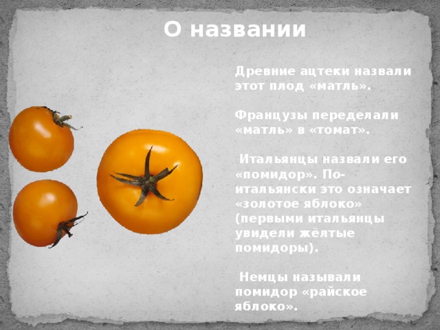 Презентация по биологии 6 класс дары старого и нового света 6