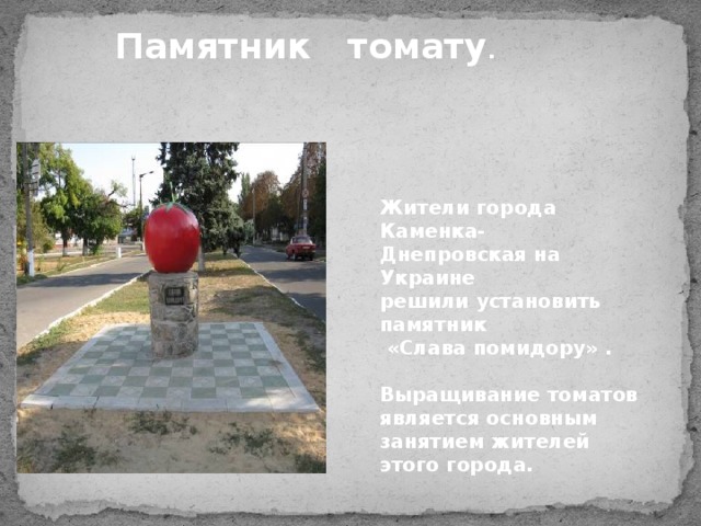 Памятник томату . Жители города Каменка- Днепровская на Украине решили установить памятник  «Слава помидору» .  Выращивание томатов является основным занятием жителей этого города. 