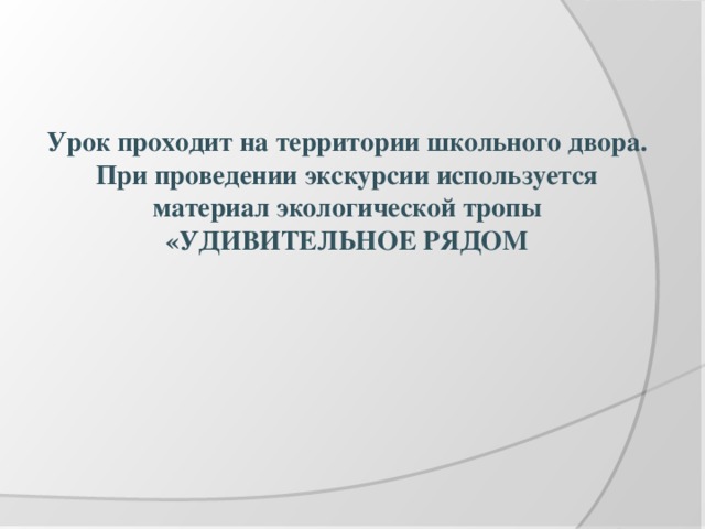 Урок проходит на территории школьного двора. При проведении экскурсии используется материал экологической тропы «УДИВИТЕЛЬНОЕ РЯДОМ 