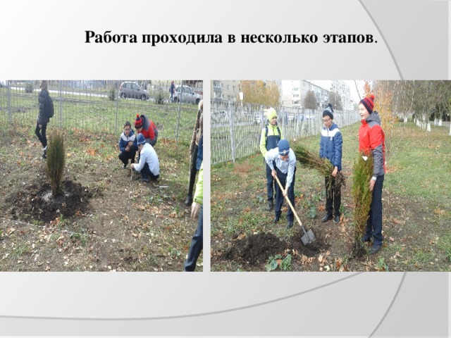 Работа проходила в несколько этапов .   