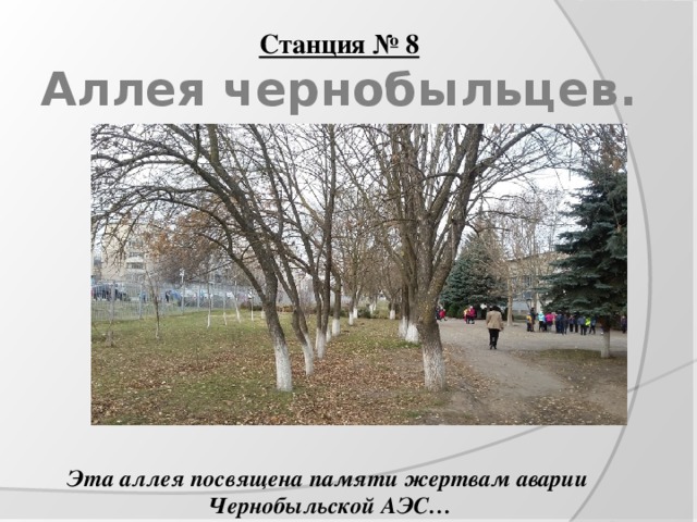Станция № 8  Аллея чернобыльцев. Эта аллея посвящена памяти жертвам аварии Чернобыльской АЭС… 