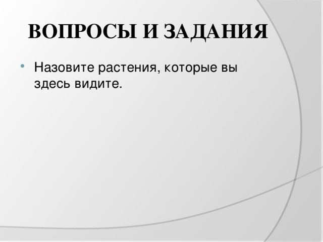 ВОПРОСЫ И ЗАДАНИЯ Назовите растения, которые вы здесь видите. 