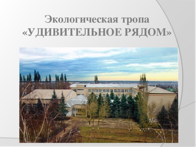 Экологическая тропа «УДИВИТЕЛЬНОЕ РЯДОМ» 